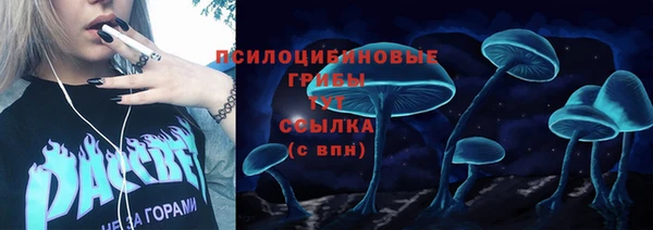 бутират Касимов